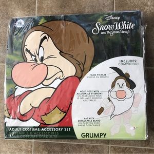 Disney Snow White Grumpys costume accessory set